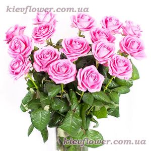  Pink Rose ― Ukrflower - flower delivery