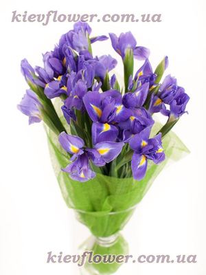 Bouquet of blue irises ― Ukrflower - flower delivery