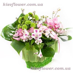 Handbag with orchids ― Ukrflower - flower delivery