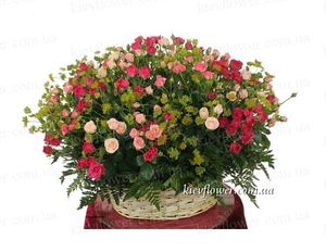 Basket of roses "Diva " ― Ukrflower - flower delivery