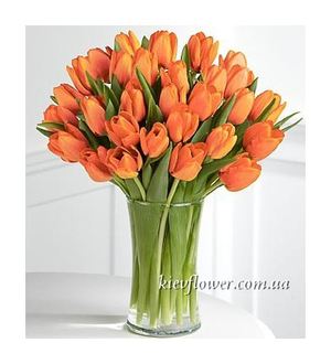 Bouquet of 31 Orange Tulips ― Ukrflower - flower delivery