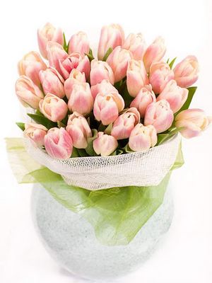 Elegance ― Ukrflower - flower delivery