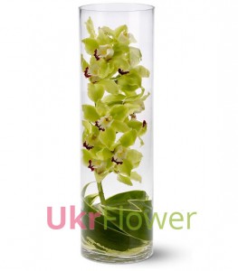 Orchids in vase ― Ukrflower - flower delivery