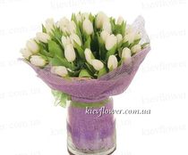 25 white tulips 