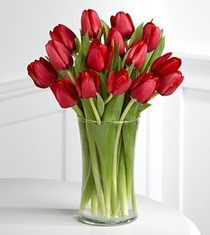 SALE - red tulips 