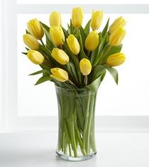 SALE - yellow tulips 