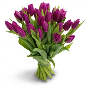 27 purple tulips ― Ukrflower - flower delivery