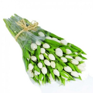 51 white tulips ― Ukrflower - flower delivery